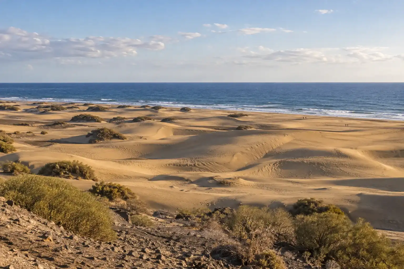Golden dunes and Atlantic coastline at Maspalomas, illustrated in natural light