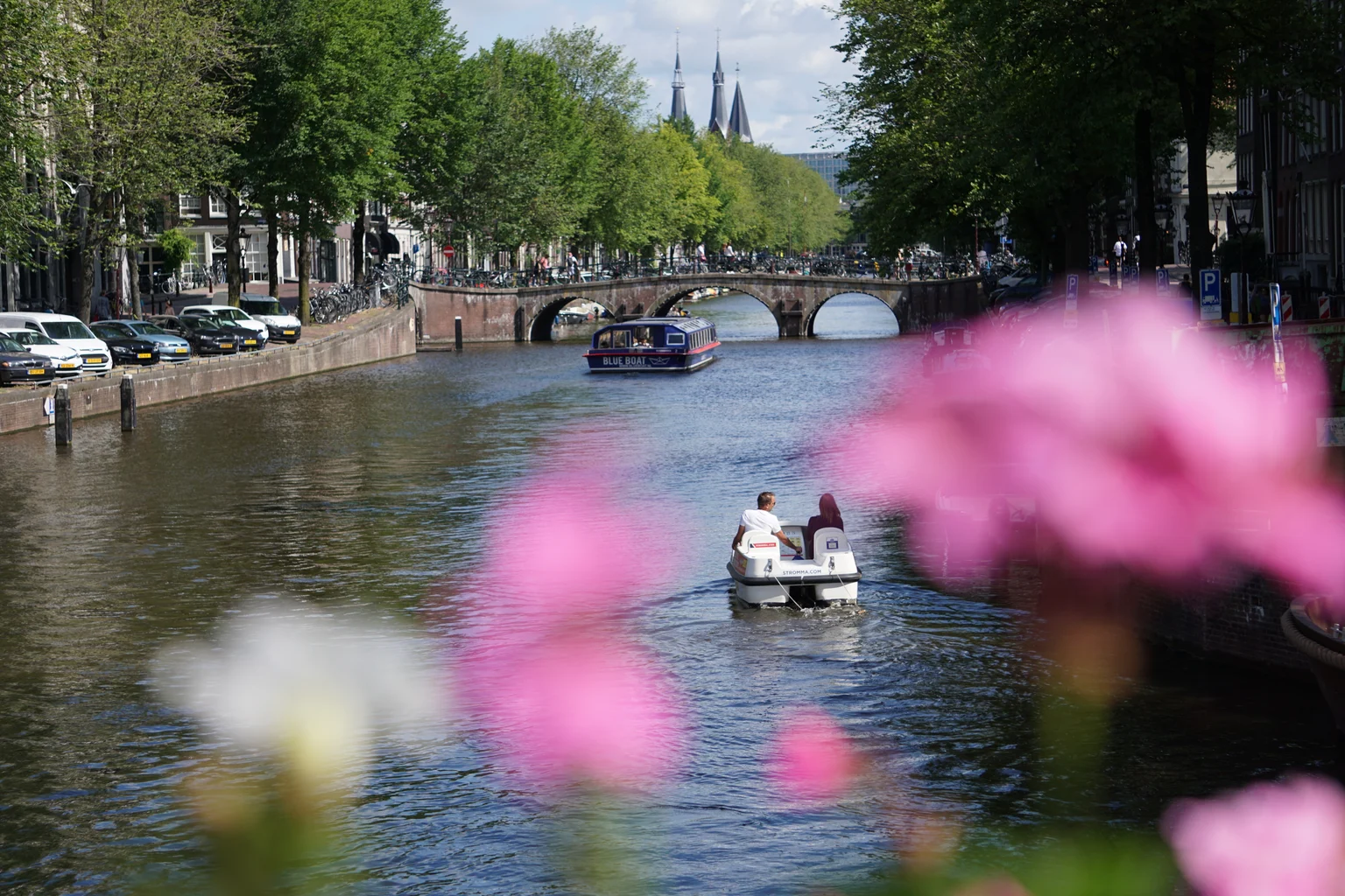 Small boats moving along an Amsterdam canal behind pink flowers and tree-lined bridges