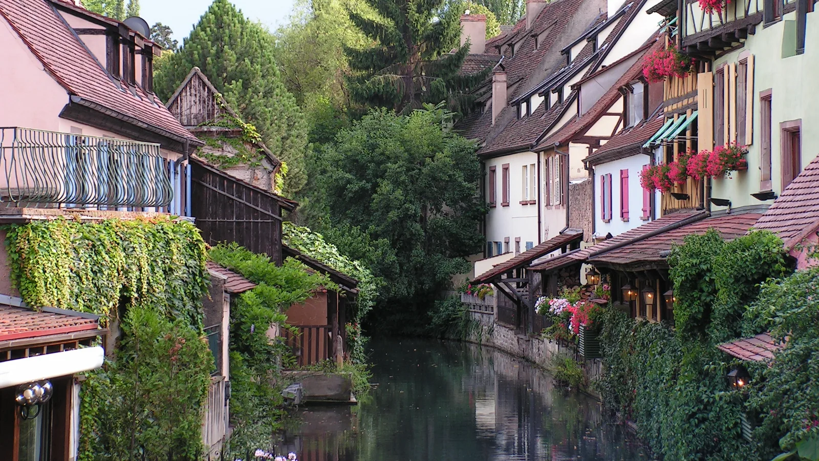Half-timbered houses along a narrow canal in Colmar's Petite Venise